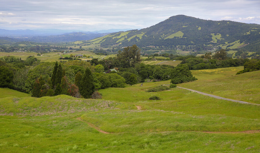 View of Sonoma Mountain from grassy green hills