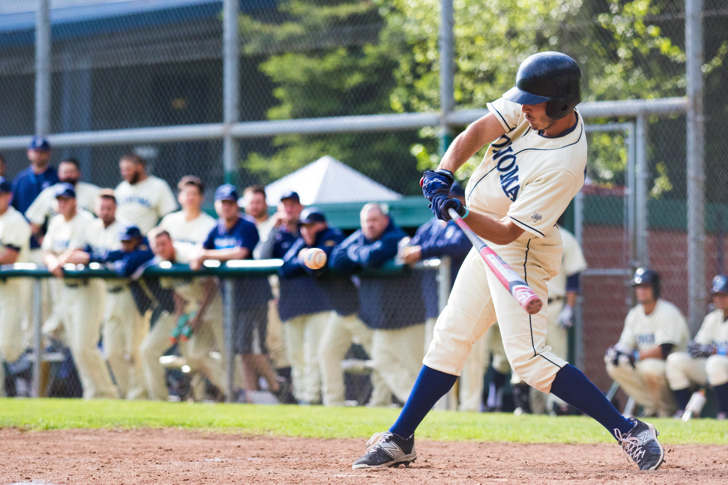 Sonoma State Baseball