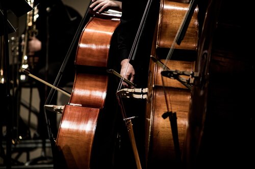 String instruments 