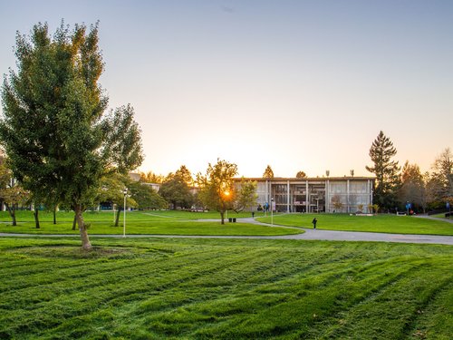 Salazar lawn and Stevenson building 