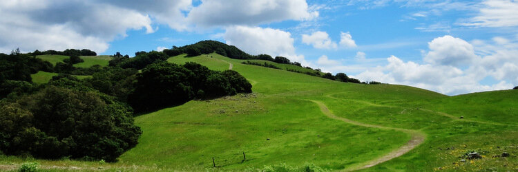 Taylor Mountain with green grass in the foreground and cloudy skies in the background