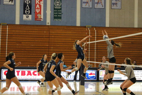 Volleyball team in action 