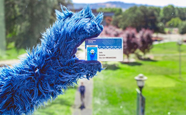 Lobo's paw holding Lobo's SSU ID card