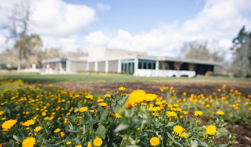 Yellow flowers in front of the Wine Center building 