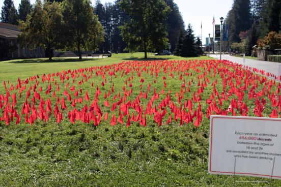 Alcohol Awareness Week Red Flags Red flags on an SSU lawn to represent Alcohol Awareness Week
