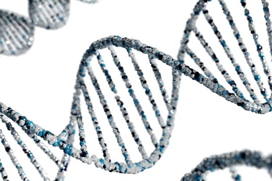 DNA Strand A graphic of a strand of DNA