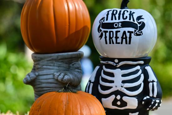 Halloween Decorations Halloween decorations featuring pumpkins, skeleton, and a hay bail