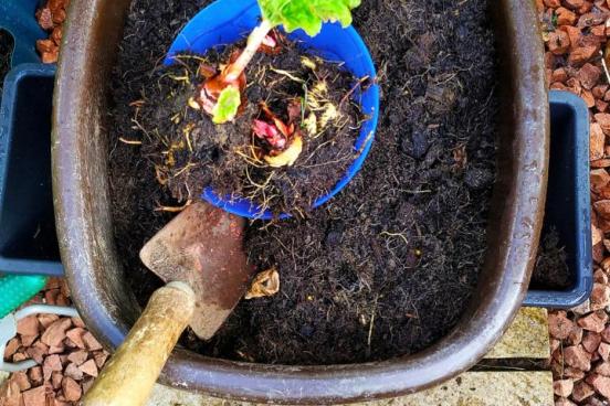 Dr. Michael Cohen: Biology Colloquium Series