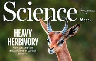 Science. $15. November 2023. AAAS. Heavy Herbivory. Plant consumption limits restoration success. pp
