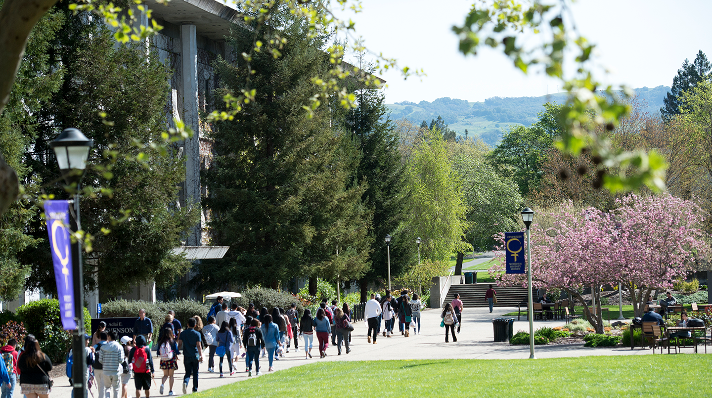 Many people walk on the sidewalk with hills in background