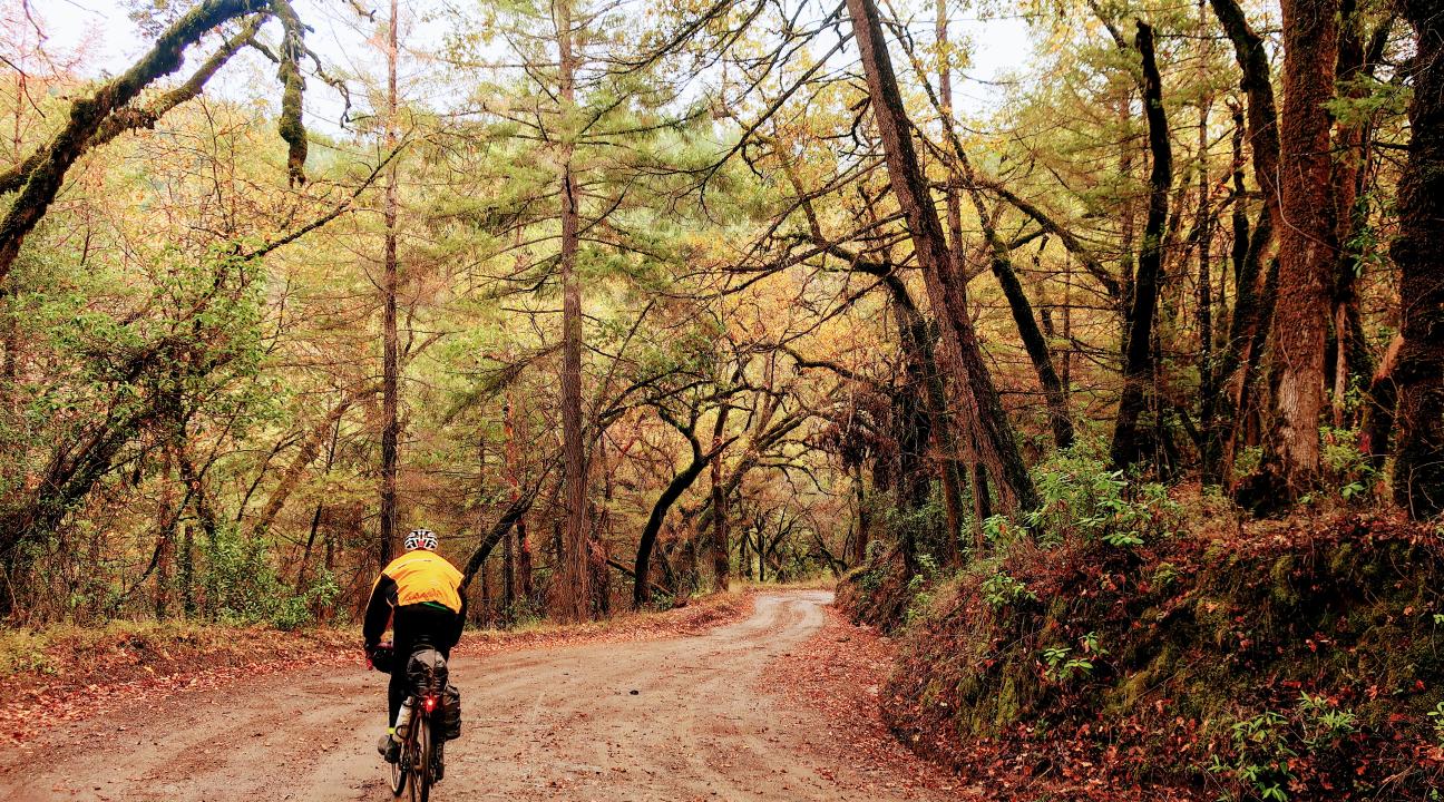 Mountain biking in Sonoma park