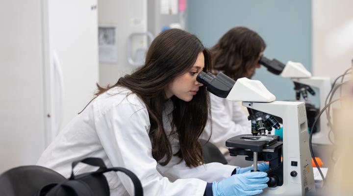 Student in lab looking though a microscope