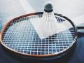 a badminton shuttlecock sitting atop a badminton racket