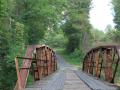 Bridge surrounded by trees