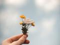 Hand holding a small bunch of colorful flowers with the gloomy sky in the background