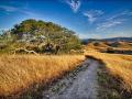 Crane Creek's walking trail surrounded by dry grass, trees and blue skies