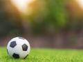 Soccer ball in grassy field