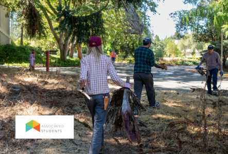 Students walking along a path together