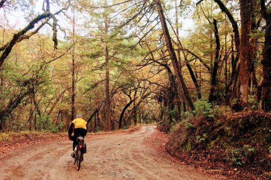 Mountain biking in Sonoma park